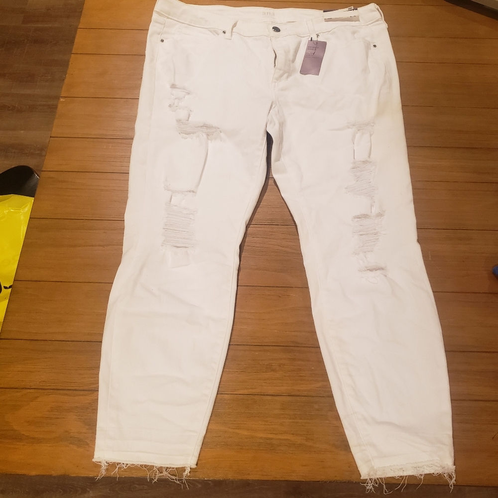 5 Pairs of Ankle Pants